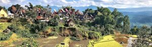 Permanent op reis: van gezin tot digital nomad