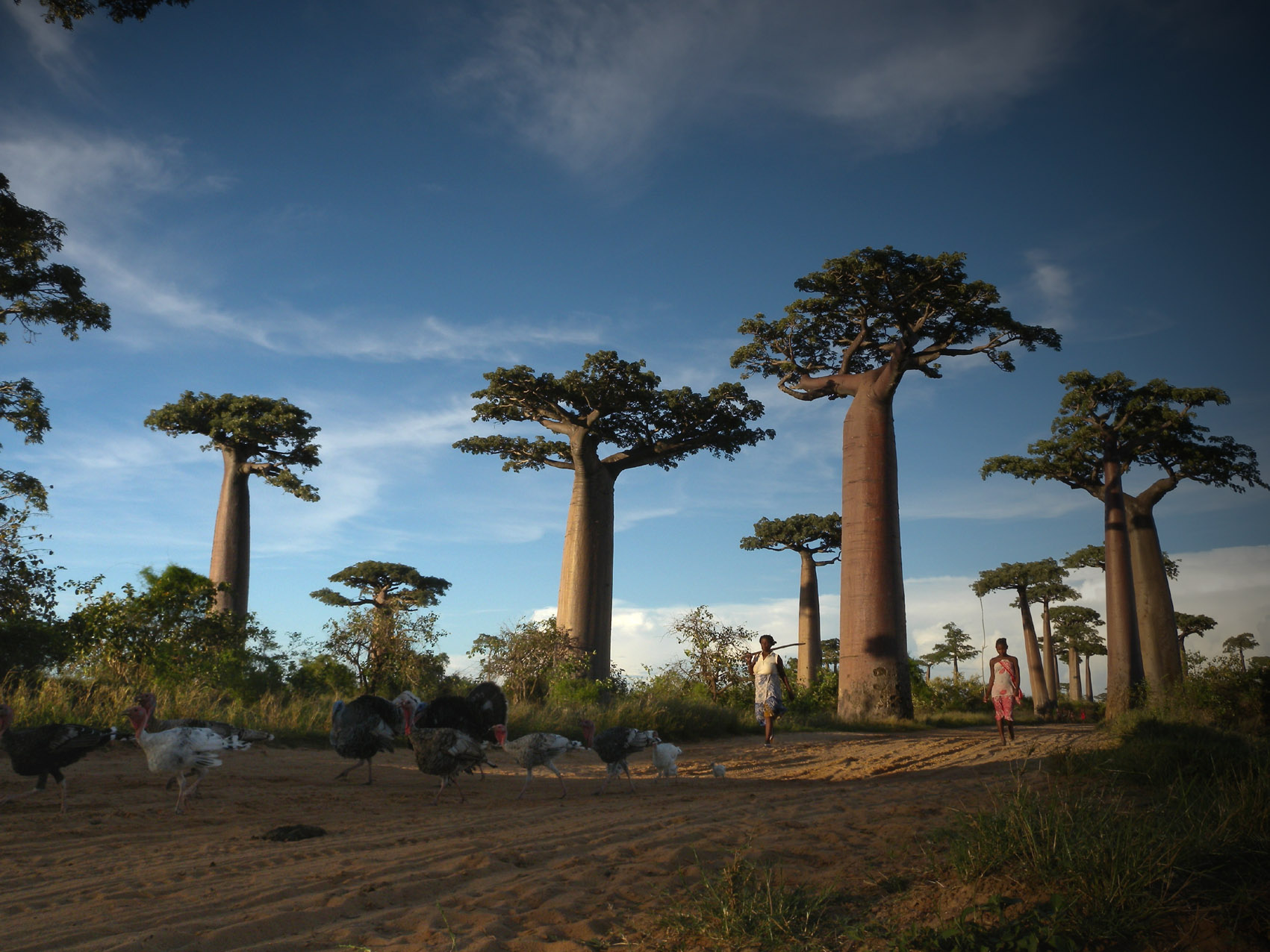 Madagaskar reisinformatie voor jouw vakantie