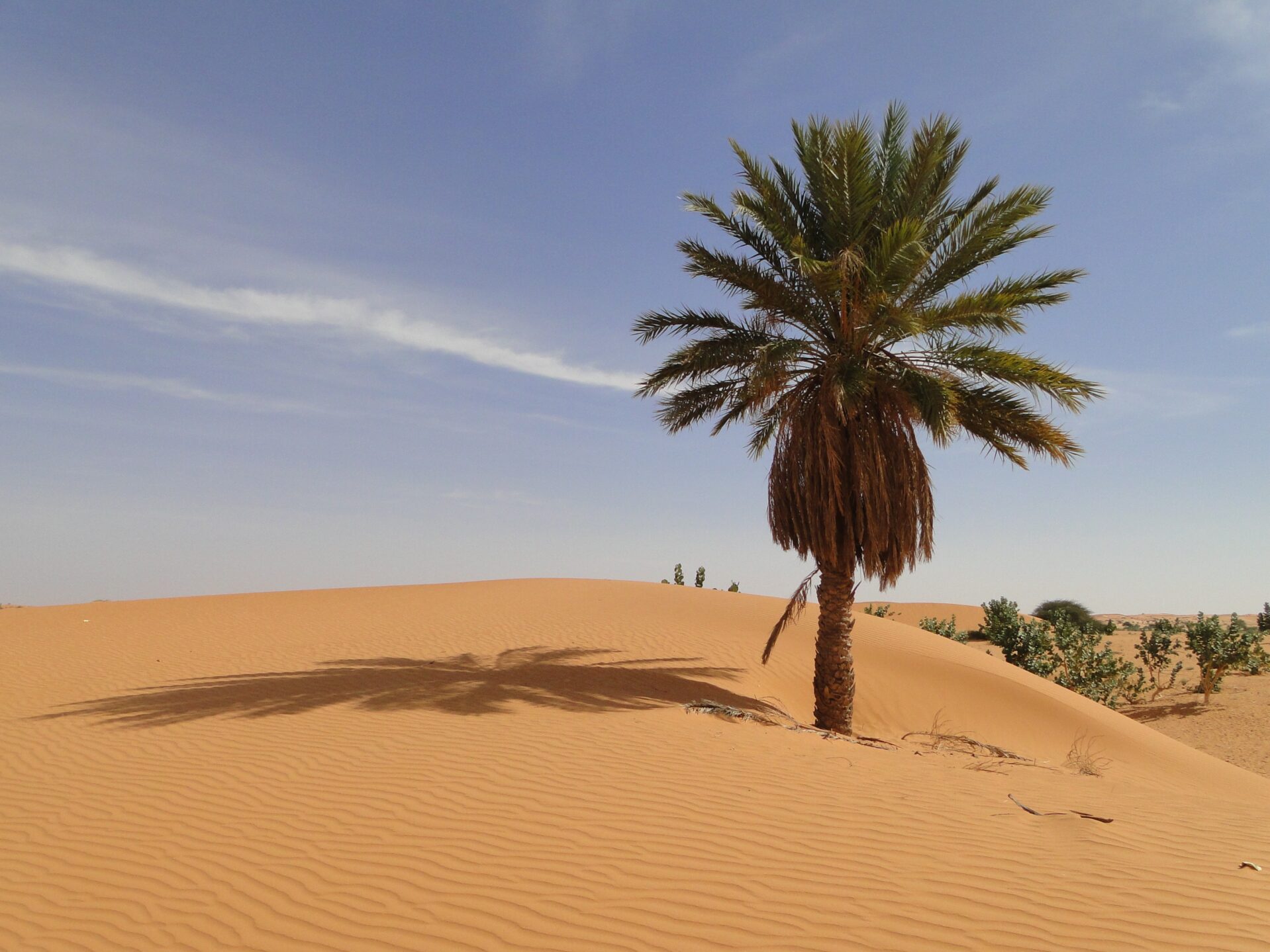 Mauritanië reisinformatie voor jouw vakantie