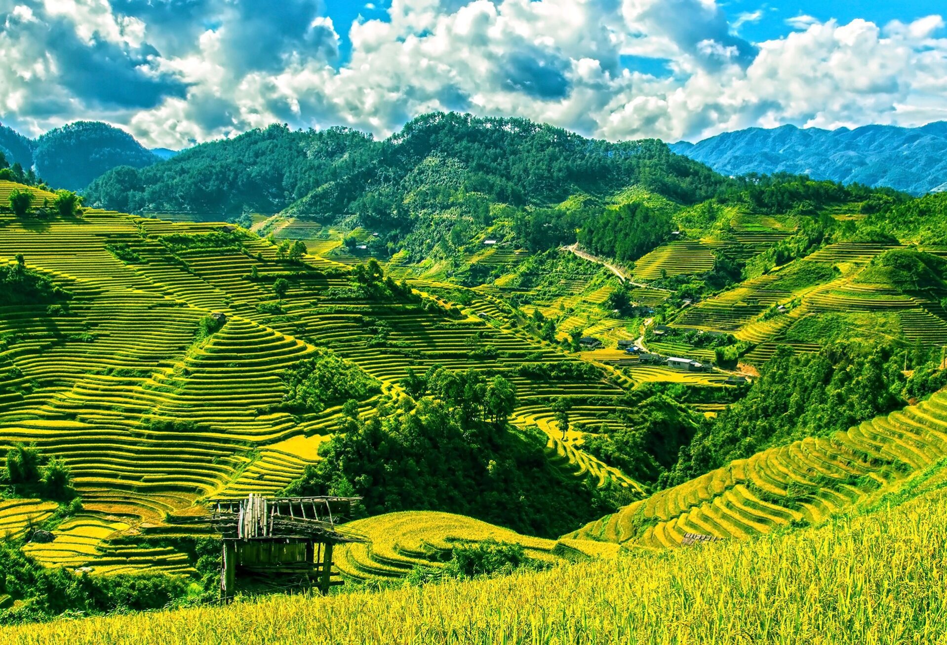 Vietnam reisinformatie voor jouw vakantie