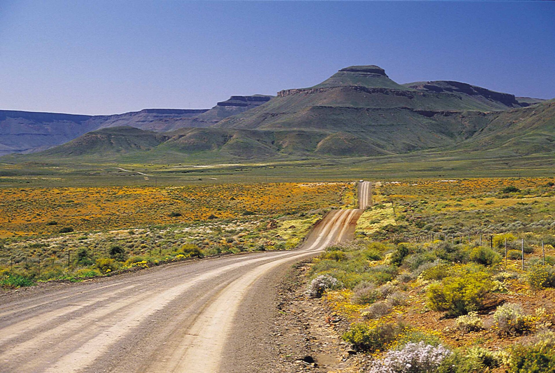 Zuid-Afrika reisinformatie voor jouw vakantie