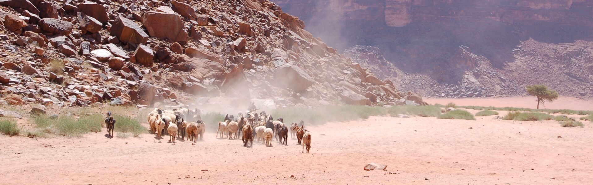 Jordanië reisinformatie voor jouw vakantie