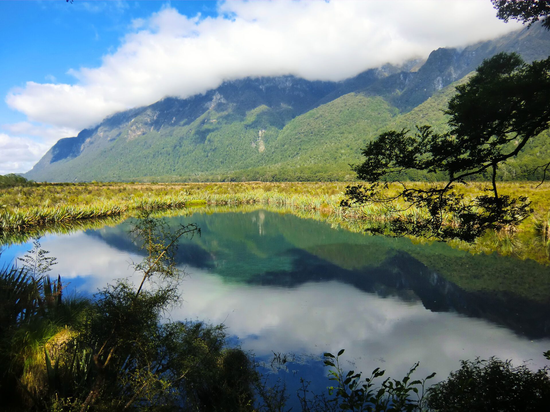 Nieuw-Zeeland reisinformatie voor jouw vakantie