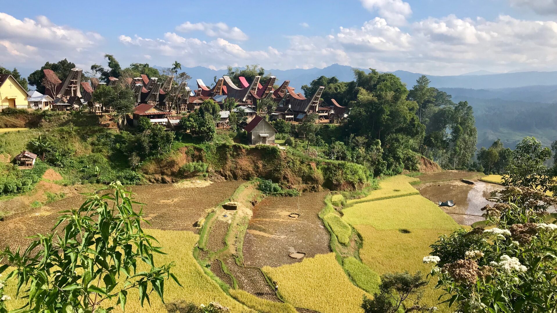 Dorp Tana Toraja