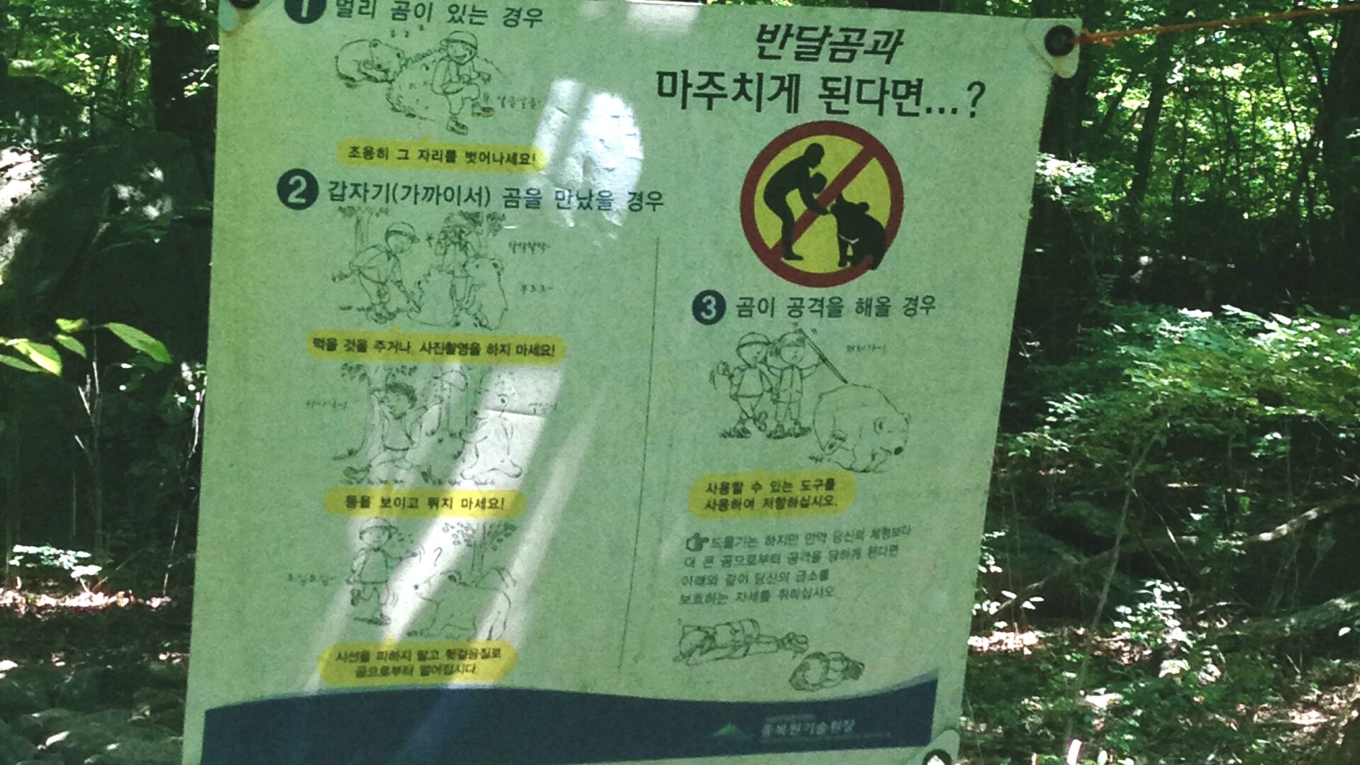 Hiken Zuid-Korea beren