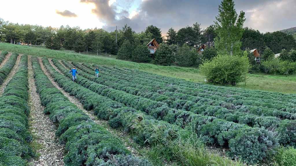 Huttopia Dieulefit village camping