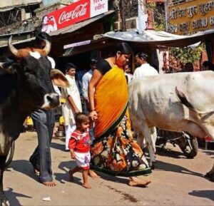 India: smerig, lawaaiig en ruw, maar ook magisch!