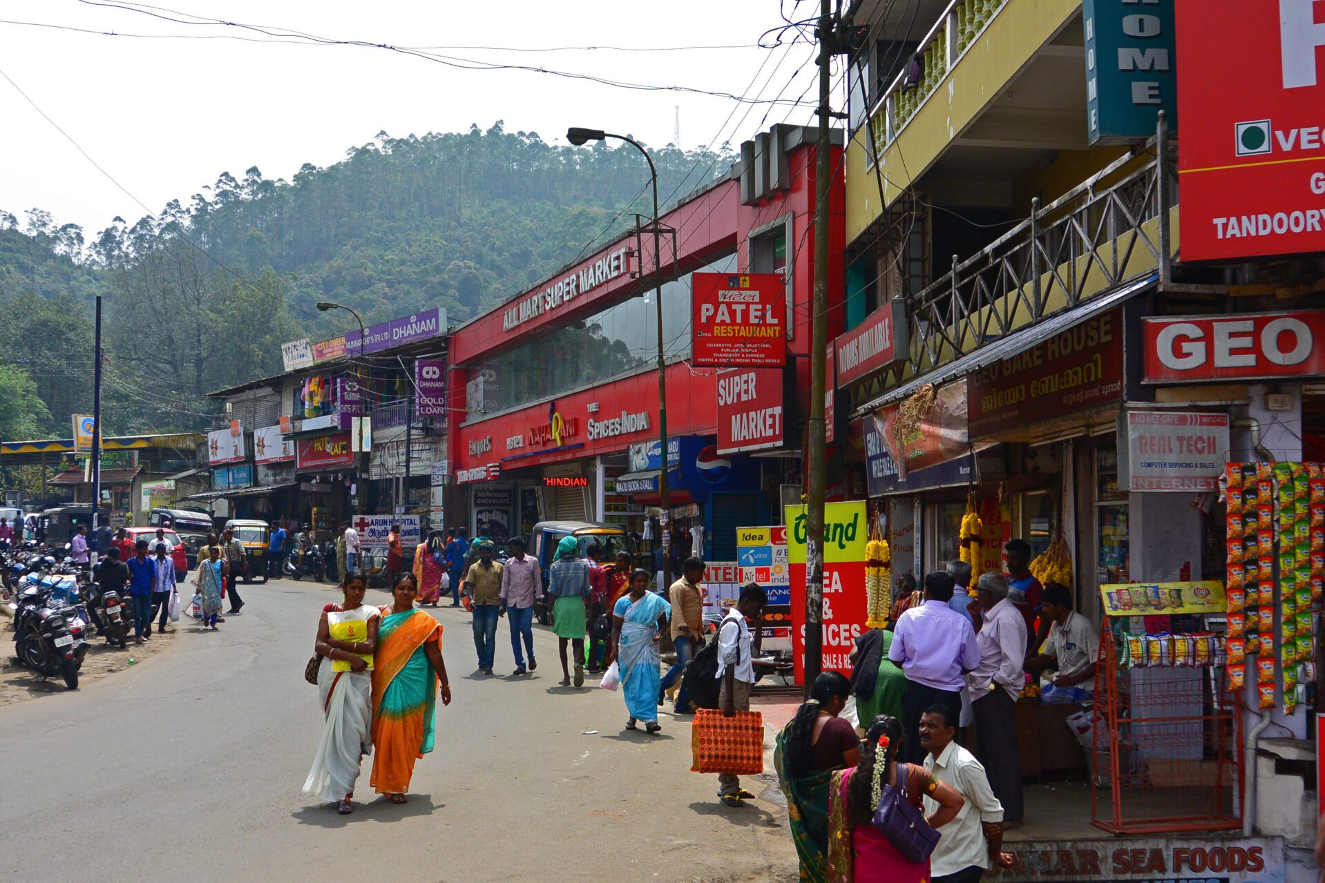 India Munnar_Kerala