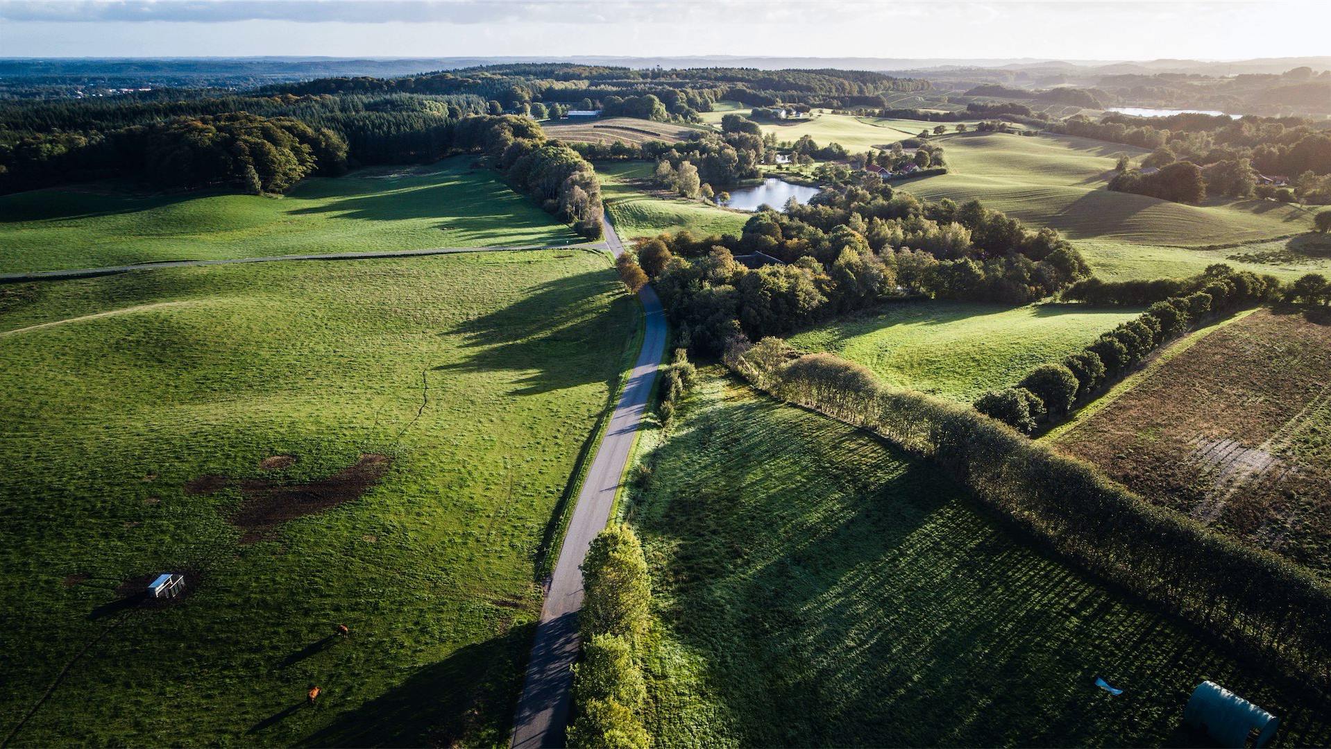 Pintrip landschap