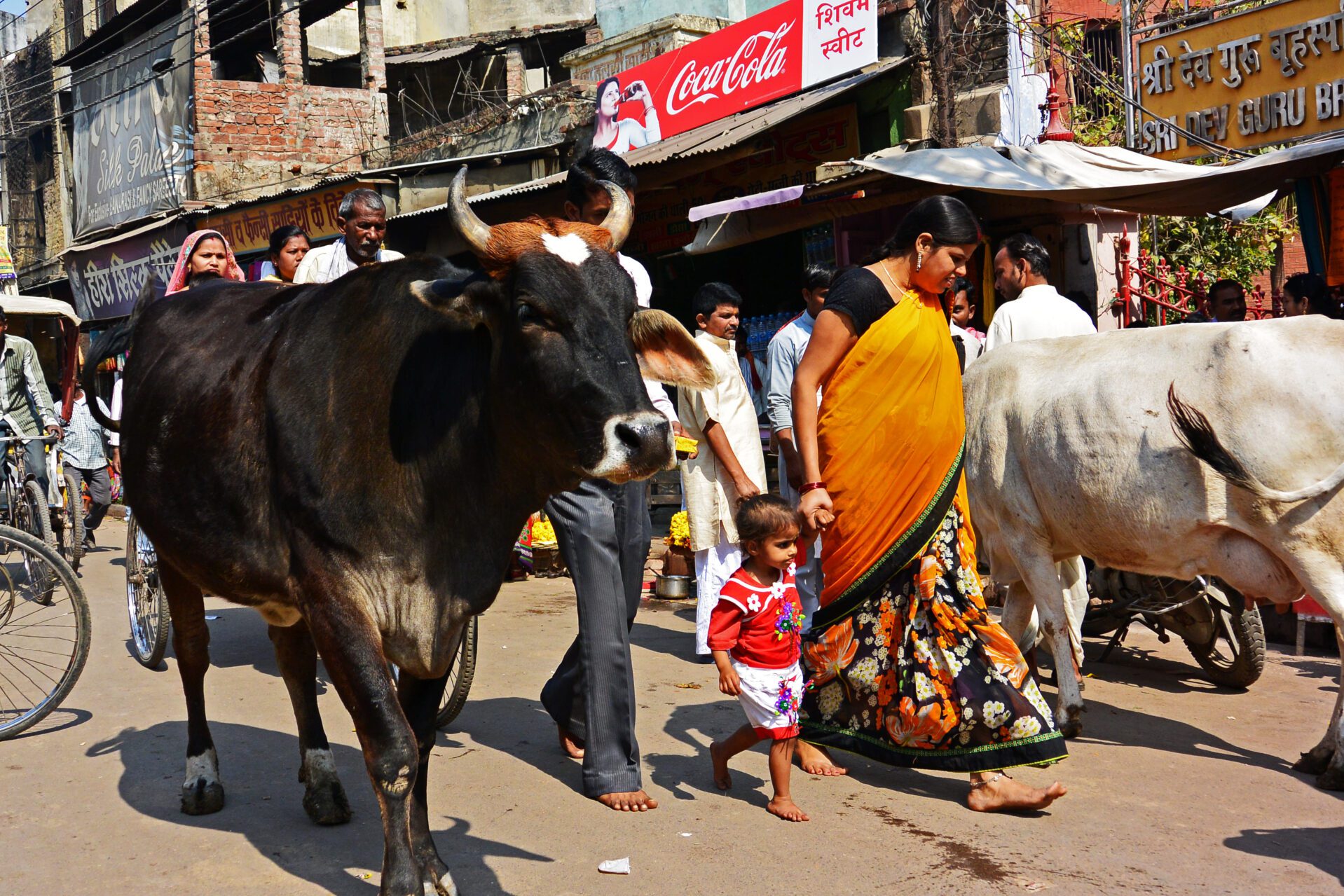 Voorbereiding India