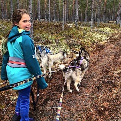 Wandelen met husky’s in Zweden