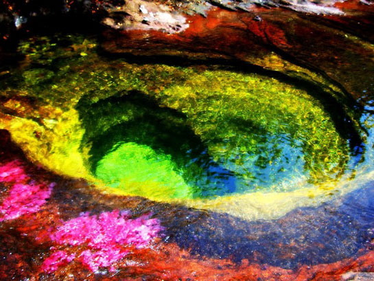 cano cristales regenboogrivier