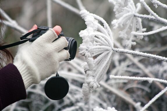 handschoenen of wanten