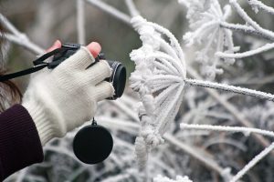 Wapenen tegen winterkou: want of handschoen