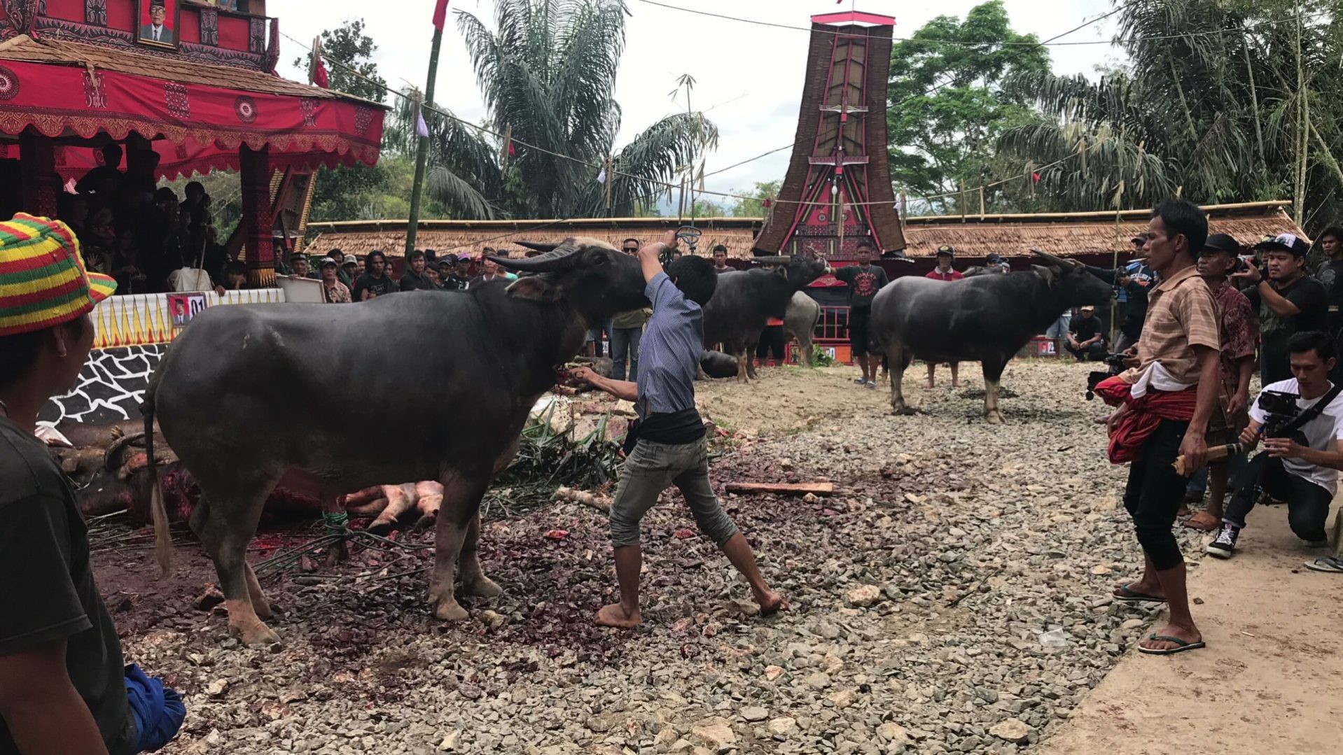 Tana Toraja
