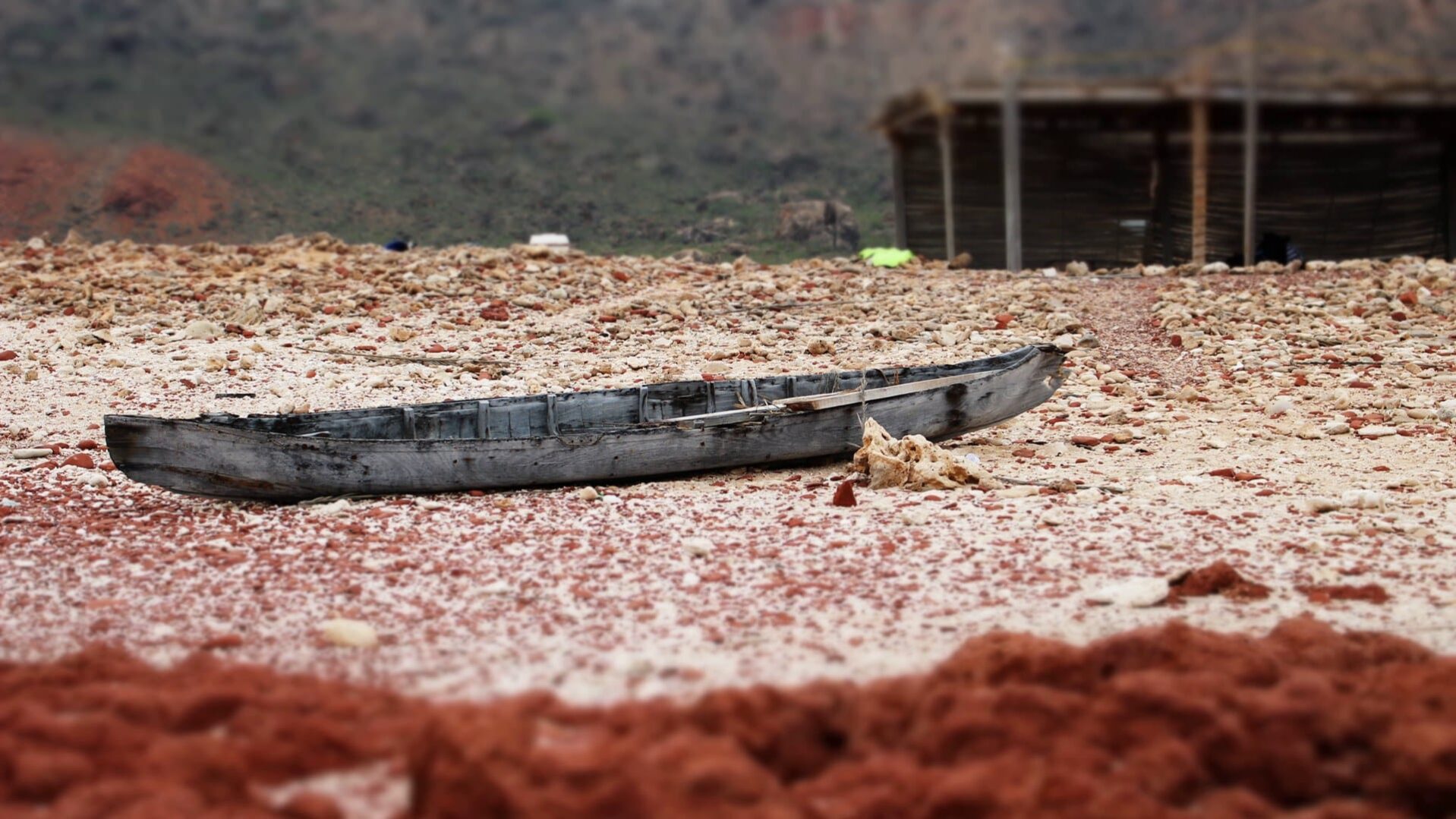 socotra