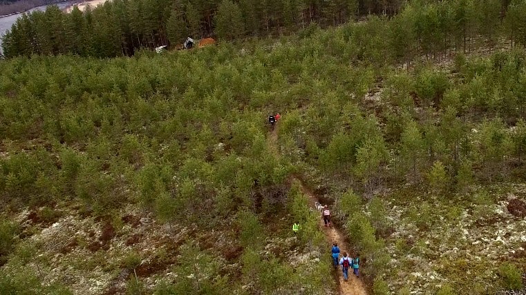 Drone foto van mensen die aan het wnadelen zijn met Husky