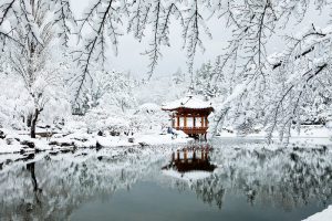 Skiën tussen de tempels in Zuid-Korea