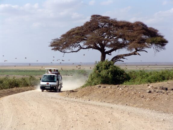 Reisorganisaties Kenia