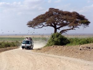 De beste tips en bezienswaardigheden voor je Kenia rondreis