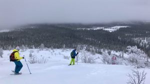 Hiken in winterwonderland in de Zweedse regio Dalarna
