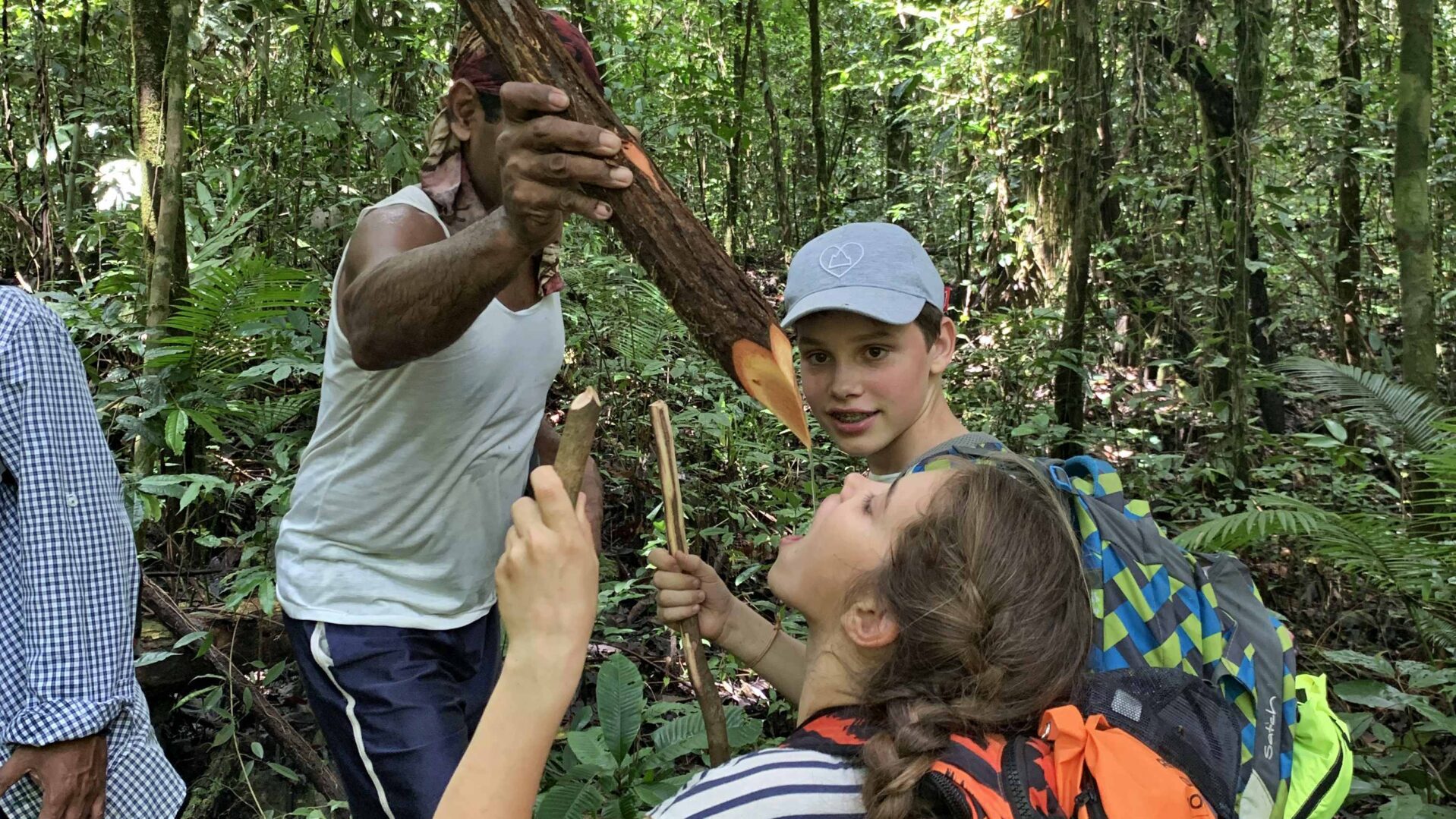 Molukken drinken uit boom