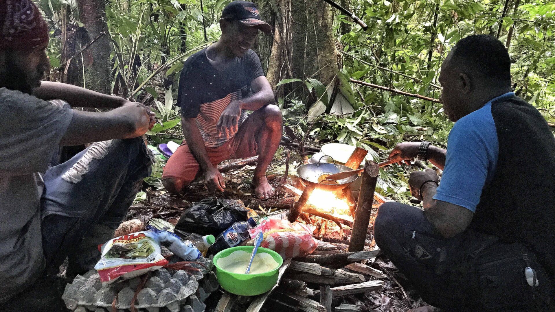 Molukken koken regenwoud