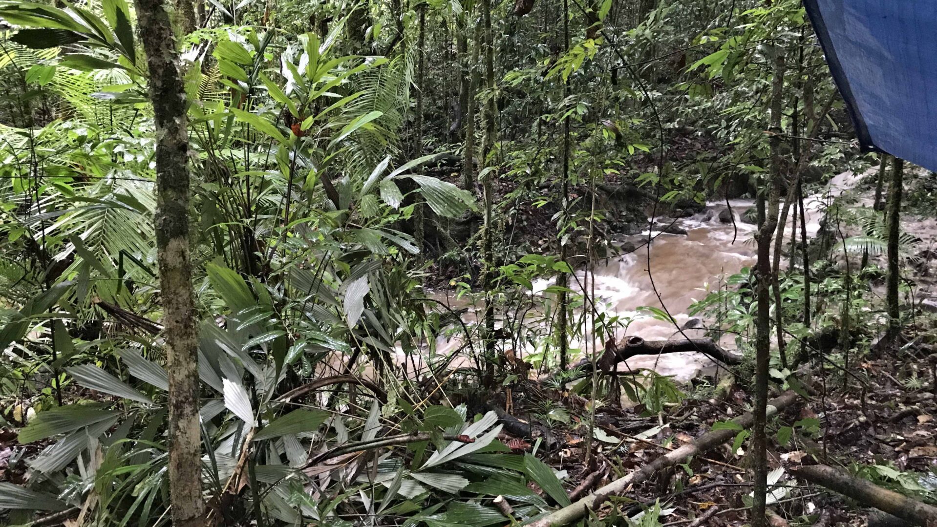 Molukken rivier Manusela