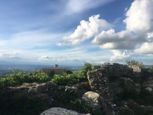 Trek de Toscaanse natuur in: Val di Cecina