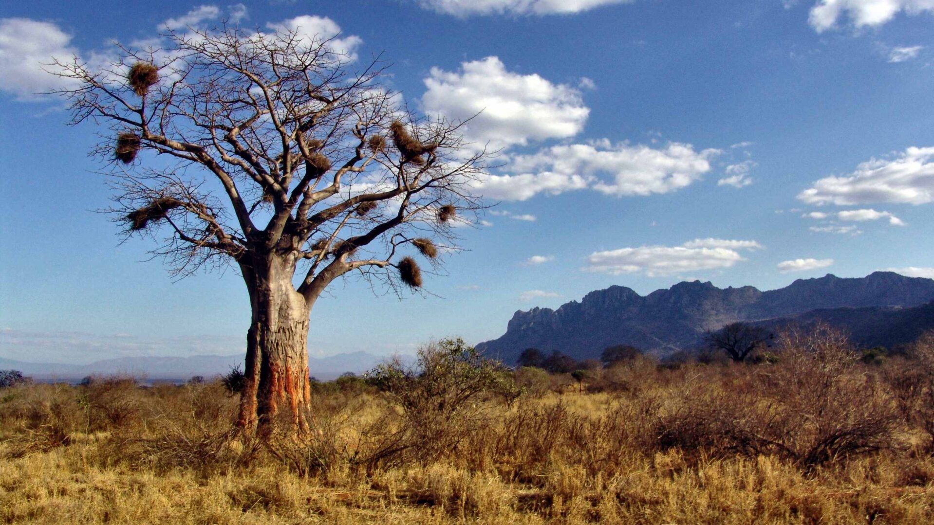 Vakantie madagascar