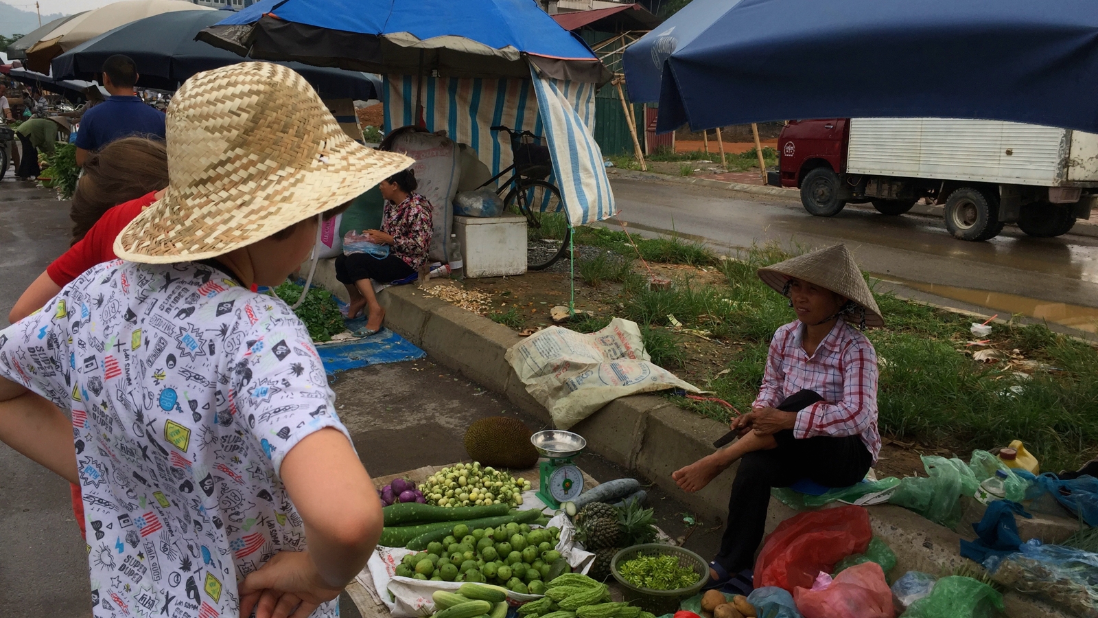 familiereis Vietnam markt