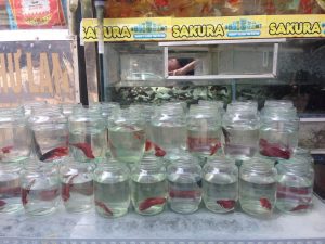 Tips voor je bezoek aan de Vietnamse hoofdstad Hanoi