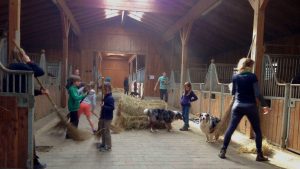 Connect with locals: vakantie bij de Italiaanse boeren