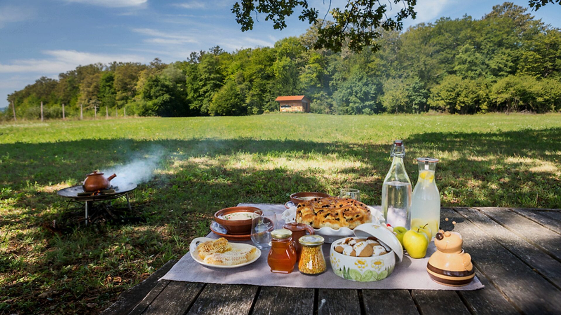 Vakantie Slovenië picnic